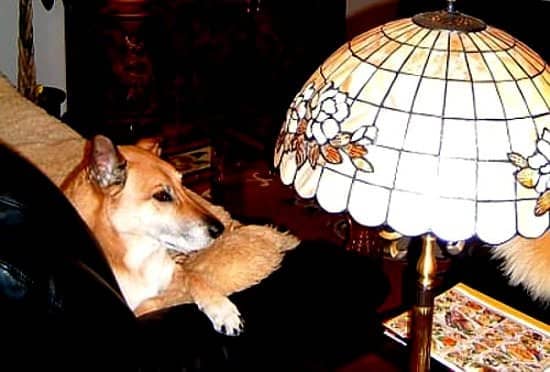 comfortable position