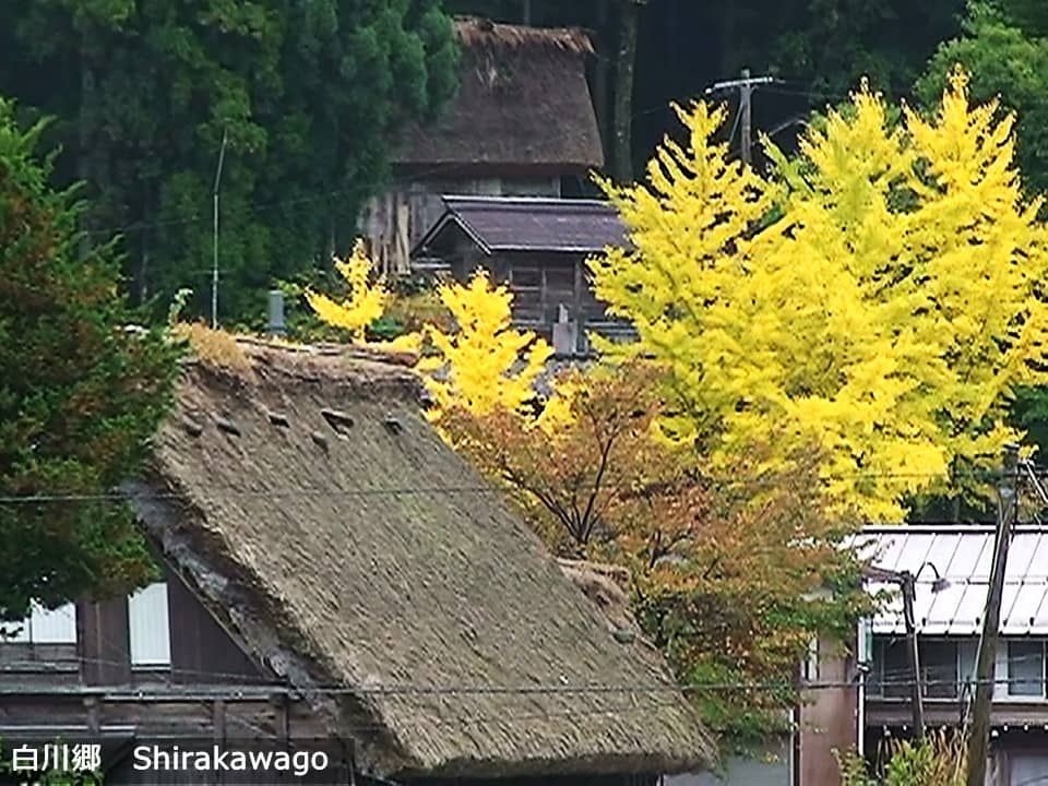 shirakawa