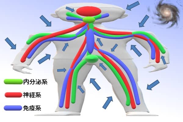 環境に動的に反応