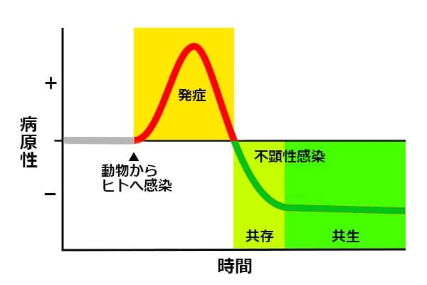 ウイルスの進化