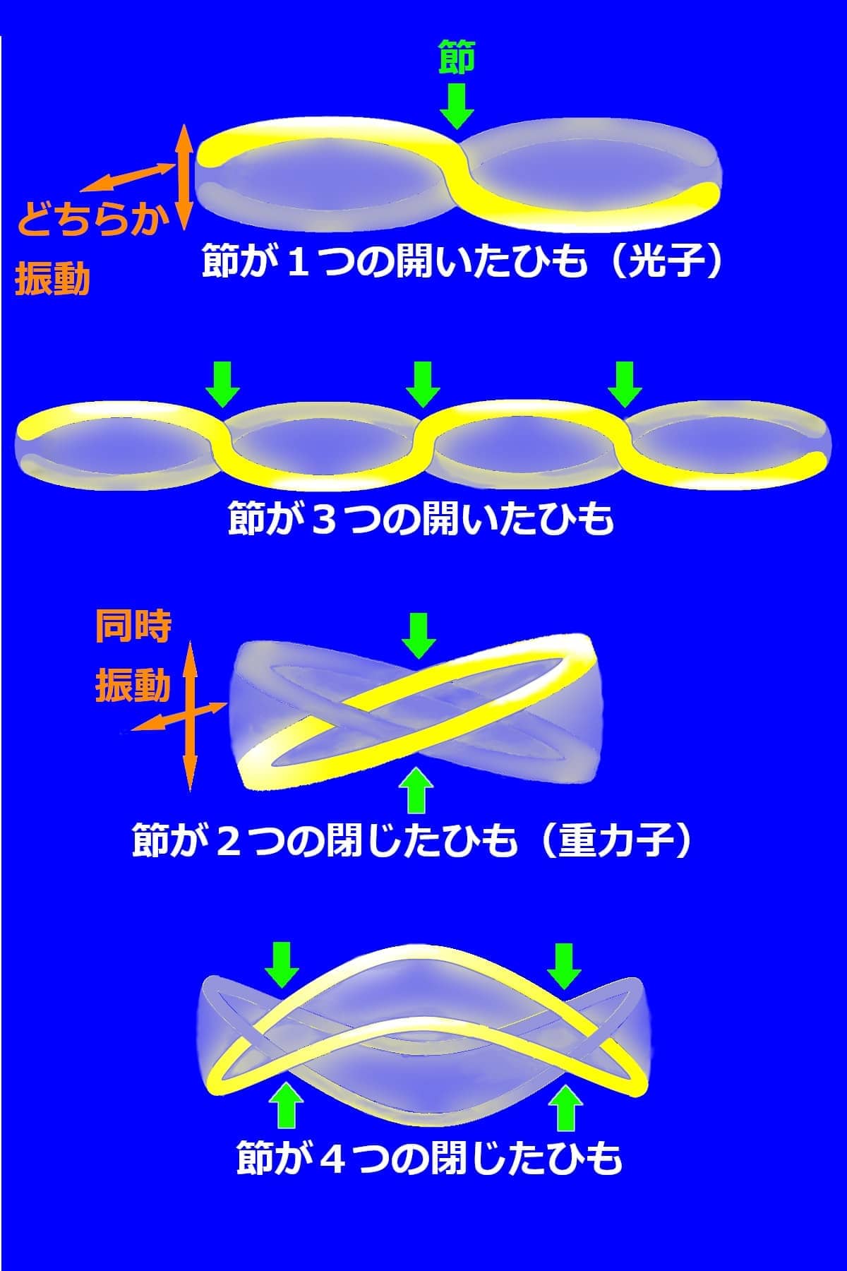 ひもの種類